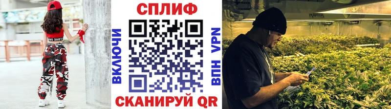 Купить  Ахтырский  Шишки марихуана VHQ 